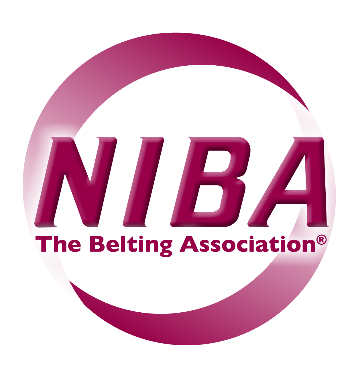 NIBA-Logo